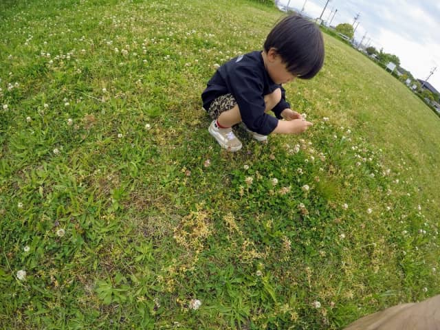 大池緑地_芝生広場