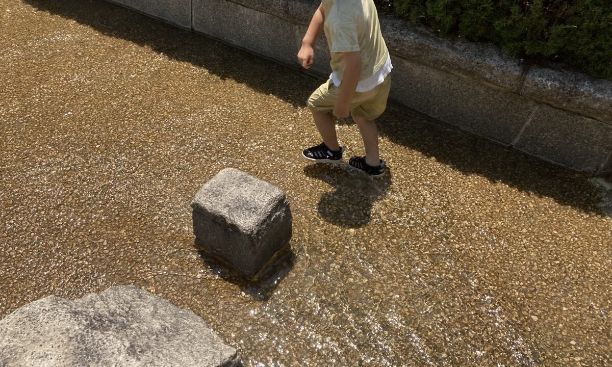 桃花台中央公園の水路は水深が浅く子供の足首ぐらい